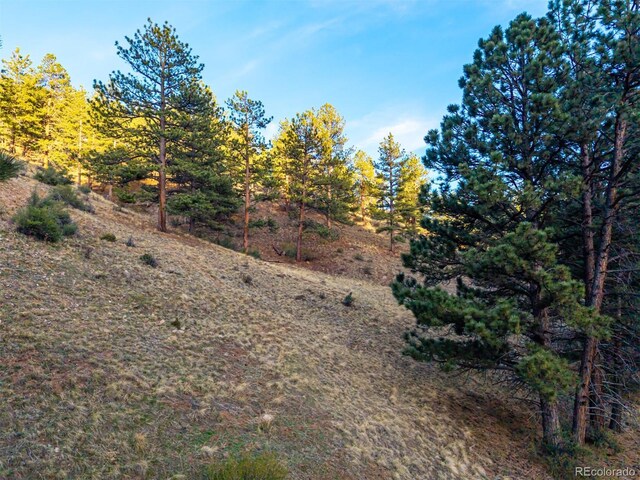 156 E Cline Dr, Shawnee, CO 80475