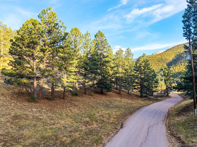 156 E Cline Dr, Shawnee, CO 80475