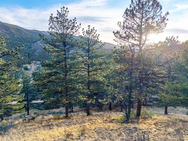 156 E Cline Dr, Shawnee, CO 80475