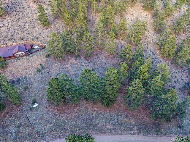 156 E Cline Dr, Shawnee, CO 80475