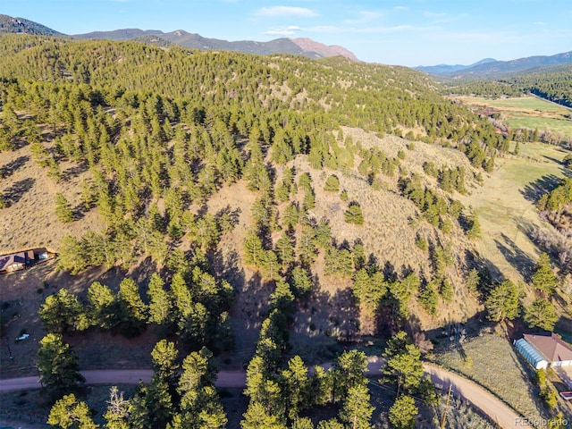 156 E Cline Dr, Shawnee, CO 80475