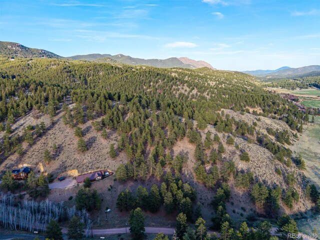 156 E Cline Dr, Shawnee, CO 80475