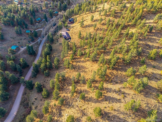 156 E Cline Dr, Shawnee, CO 80475