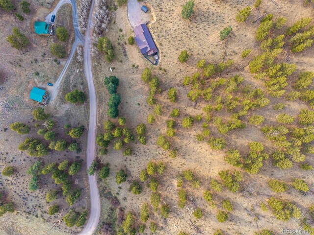 156 E Cline Dr, Shawnee, CO 80475