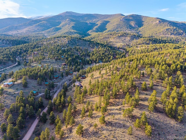 156 E Cline Dr, Shawnee, CO 80475