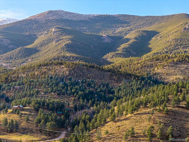 156 E Cline Dr, Shawnee, CO 80475