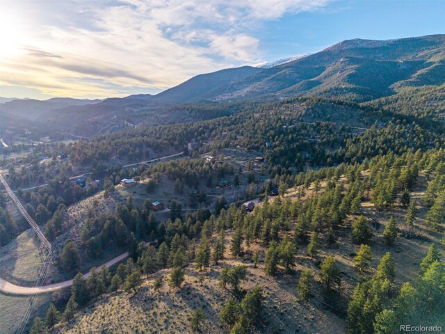156 E Cline Dr, Shawnee, CO 80475