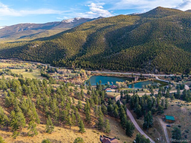 156 E Cline Dr, Shawnee, CO 80475