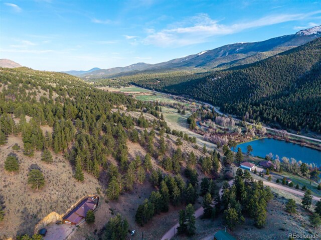 156 E Cline Dr, Shawnee, CO 80475