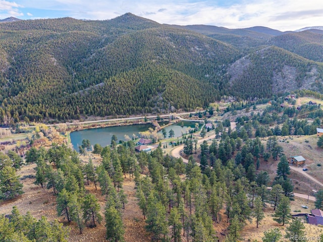156 E Cline Dr, Shawnee, CO 80475