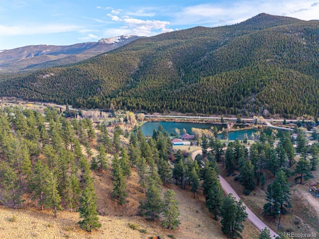 156 E Cline Dr, Shawnee, CO 80475