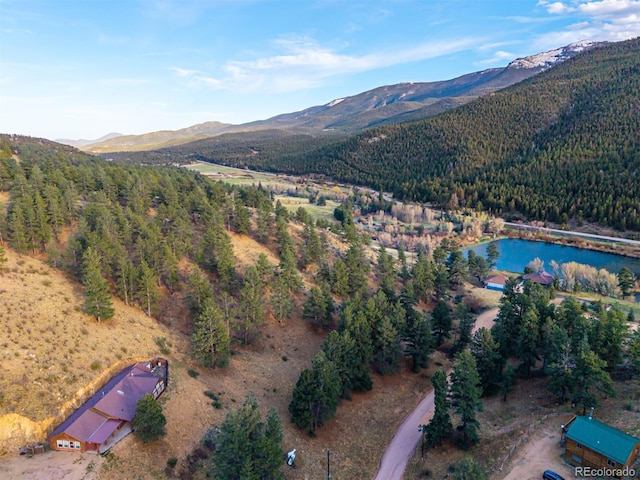 156 E Cline Dr, Shawnee, CO 80475