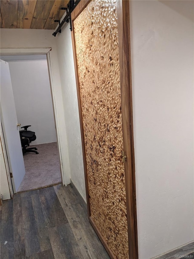 hall with a barn door and dark wood-type flooring