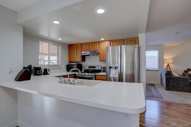 kitchen featuring appliances with stainless steel finishes, sink, light hardwood / wood-style floors, and kitchen peninsula