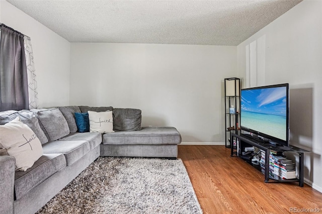1733 S Nucla St, Aurora, CO 80017 - living area with wood finished floors and a textured ceiling