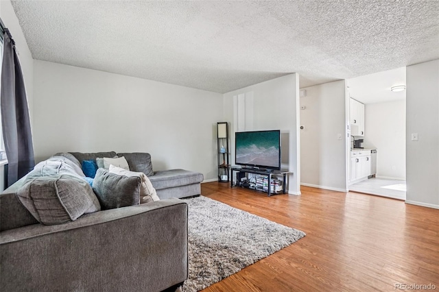 1733 S Nucla St, Aurora, CO 80017 - living area featuring light wood-style floors and a textured ceiling