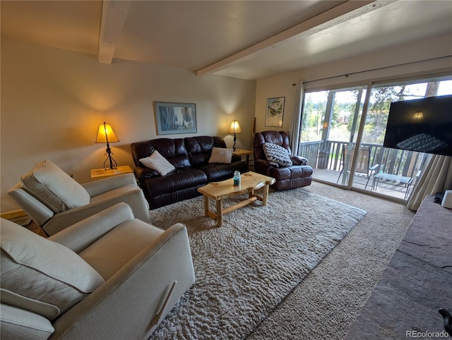377 Hi Country Dr Unit 6, Winter Park, CO 80482 - photo 10