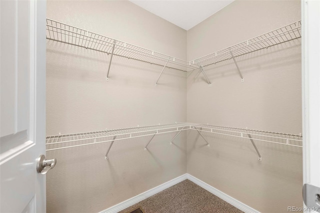 walk in closet with carpet floors