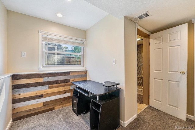 19523 E Buchanan Pl, Aurora, CO 80011 - office area featuring carpet and recessed lighting