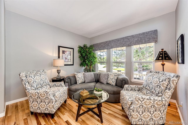 22685 E Calhoun Pl, Aurora, CO 80016 - living area featuring light wood-style floors and baseboards