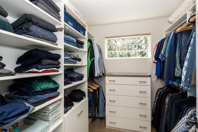 22685 E Calhoun Pl, Aurora, CO 80016 - view of walk in closet
