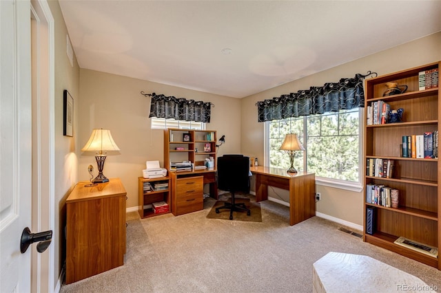 22685 E Calhoun Pl, Aurora, CO 80016 - carpeted office space with baseboards