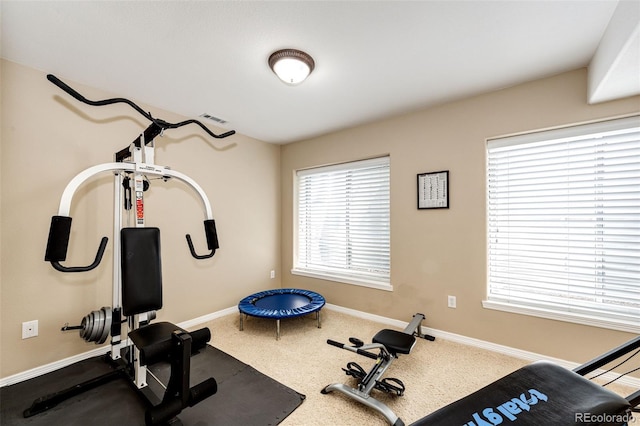 22685 E Calhoun Pl, Aurora, CO 80016 - workout area with baseboards and carpet floors