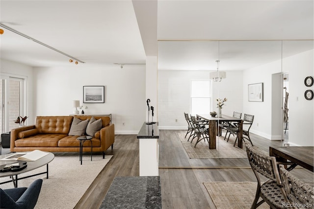 420 S Marion Pkwy Unit 203, Denver, CO 80209 - living room with dark wood-style flooring, rail lighting, and a chandelier