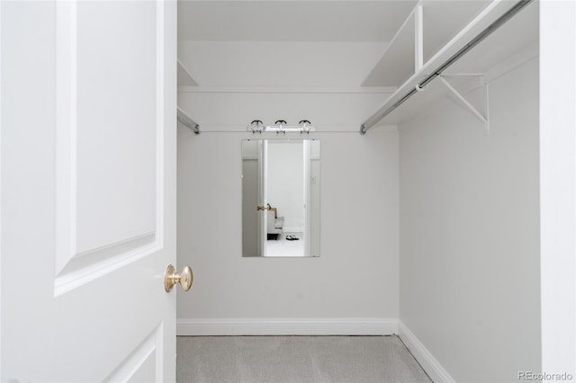 420 S Marion Pkwy Unit 203, Denver, CO 80209 - spacious closet with carpet floors