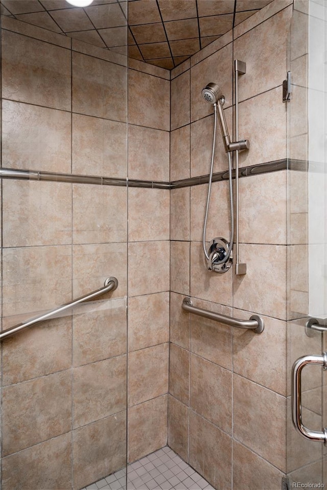 420 S Marion Pkwy Unit 203, Denver, CO 80209 - bathroom with a shower stall