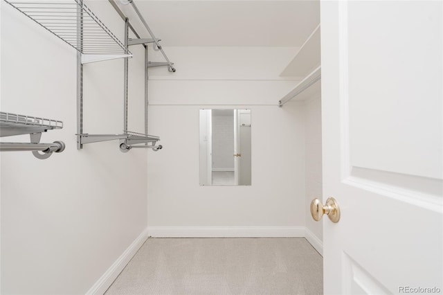 420 S Marion Pkwy Unit 203, Denver, CO 80209 - spacious closet with carpet floors