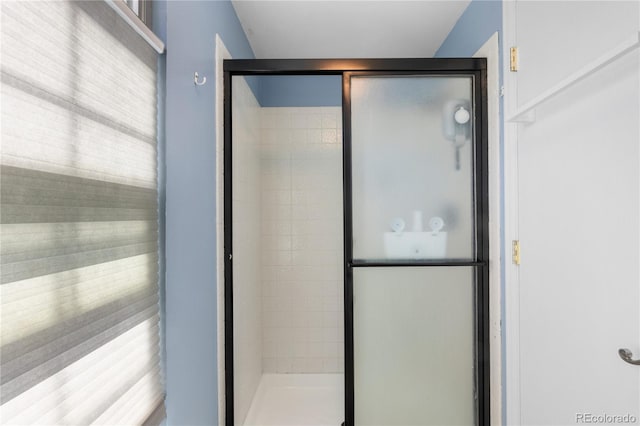 bathroom with a shower stall