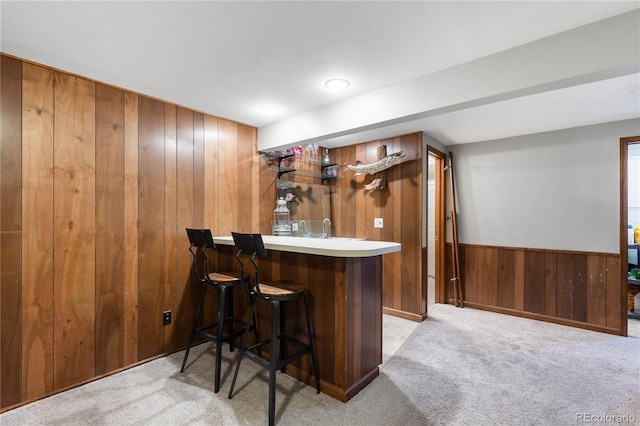 bar with carpet floors, wainscoting, wood walls, and indoor wet bar