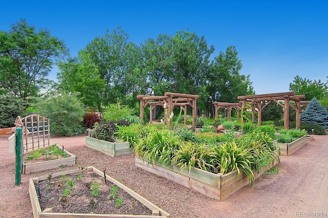 view of home's community featuring a pergola