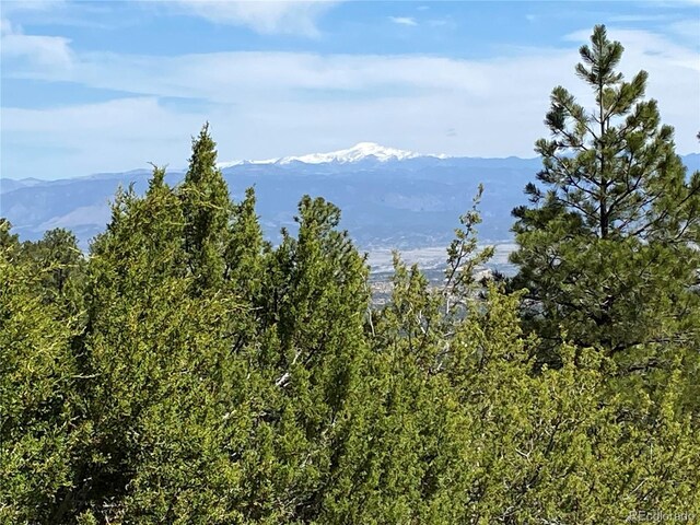 2299 Twin Creek Rd, Florence, CO 81226 - photo 16