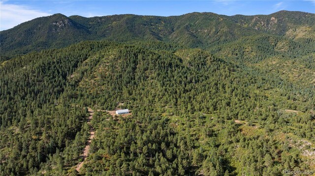 2299 Twin Creek Rd, Florence, CO 81226 - photo 18