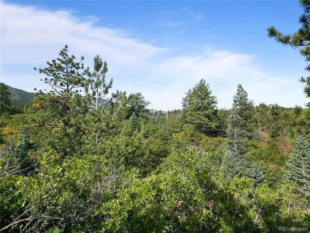 2299 Twin Creek Rd, Florence, CO 81226 - photo 21