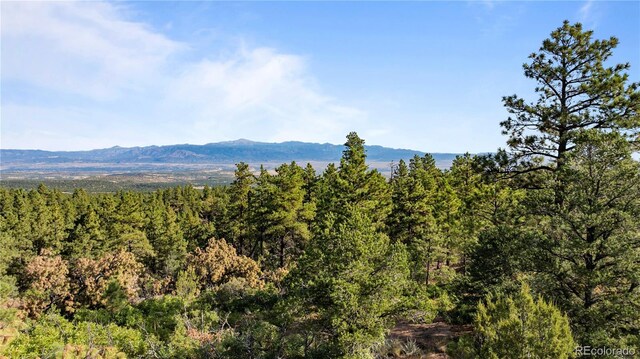 2299 Twin Creek Rd, Florence, CO 81226 - photo 22