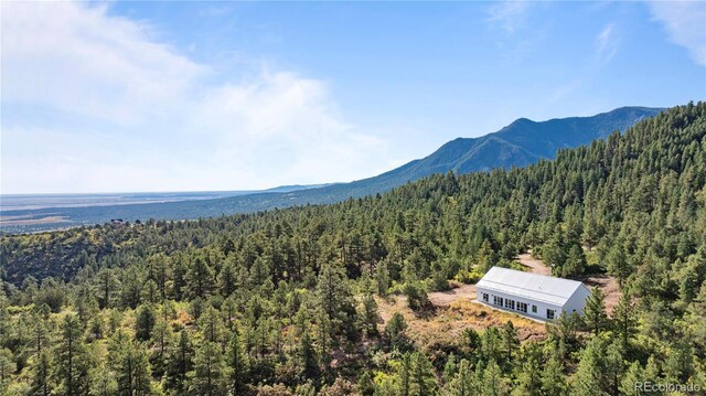 2299 Twin Creek Rd, Florence, CO 81226 - photo 23