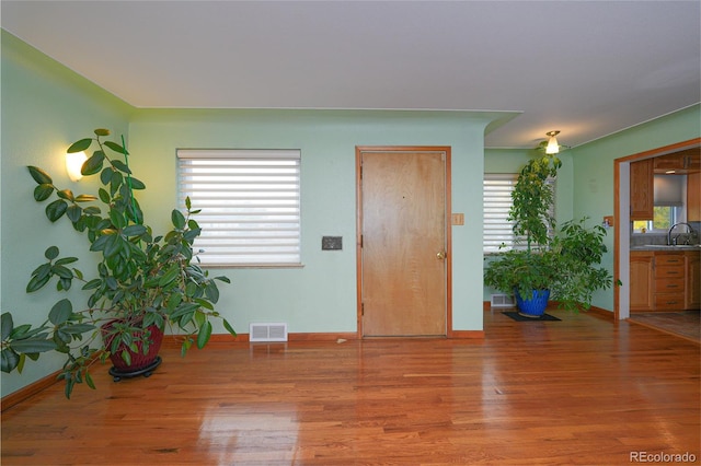 foyer entrance with hardwood / wood-style flooring and sink