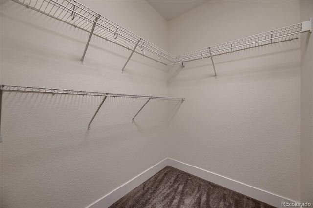 4648 S Swadley Way, Morrison, CO 80465 - photo 21