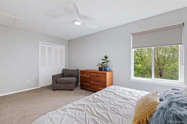 2275 Calistoga Dr, Colorado Springs, CO 80915 - photo 31