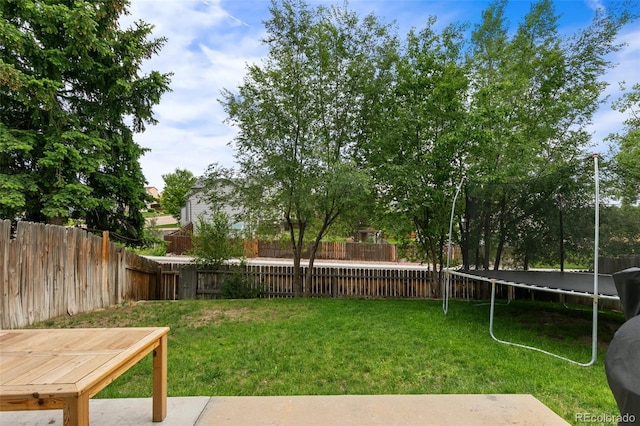 2275 Calistoga Dr, Colorado Springs, CO 80915 - photo 38