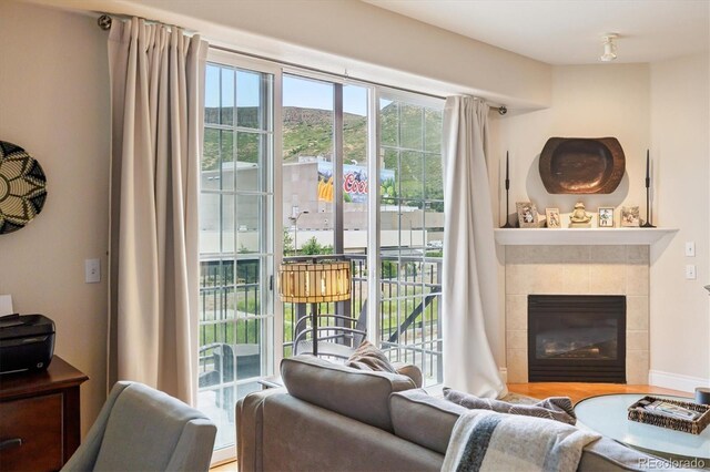 620 11th St Unit 206, Golden, CO 80401 - living room with a fireplace