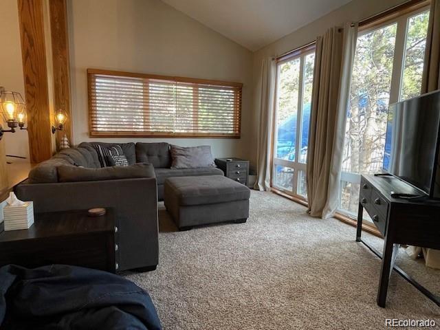 96 Mountainside Dr Unit B19, Granby, CO 80446 - photo 3
