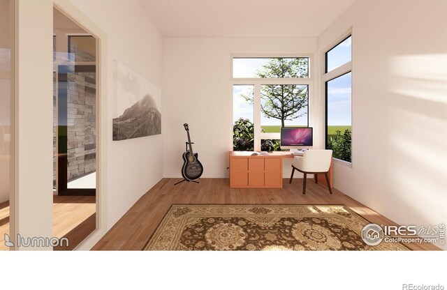 office featuring light hardwood / wood-style floors