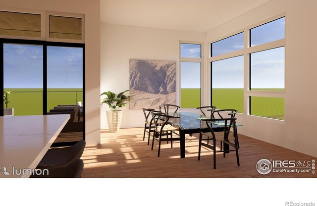 dining room featuring hardwood / wood-style flooring