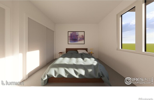 bedroom with carpet flooring