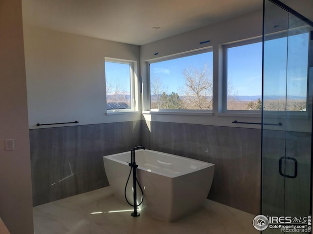 full bathroom with a freestanding tub and a stall shower