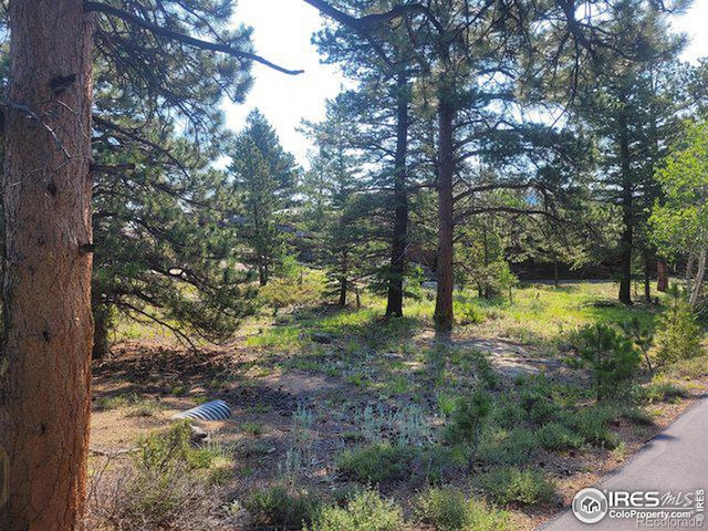 Listing photo 2 for 1 W Fox Acres Dr, Red Feather Lakes CO 80545